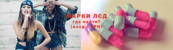 мяу мяу мука Баксан
