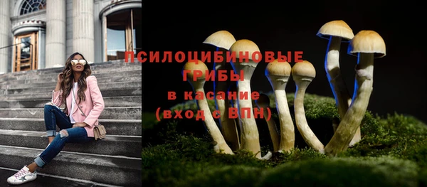 стафф Балабаново