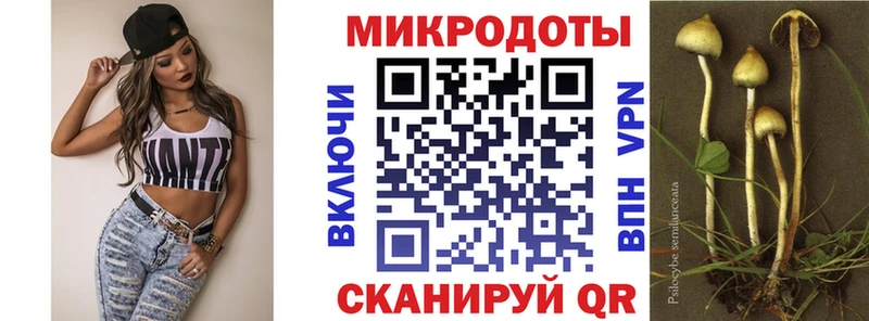 купить наркоту  Гудермес  shop клад  Галлюциногенные грибы прущие грибы 